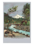 Creek with Mt. Hood in Background, Oregon Giclee Print