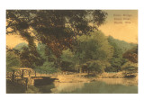 Rustic Bridge, Dayton, Ohio Posters
