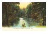 Susquehanna River, Cooperstown, New York Prints