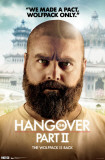 Hangover 2 - Alan Photo