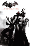 Arkham City - Catwoman Prints