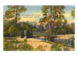 Rustic Bridge, Erie, Pennsylvania Prints