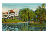 Willow Pond, Rochester, New York Prints