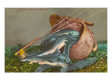 Trout, Creel and Rod Giclee Print