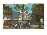 Zoo, Walbridge Park, Toledo, Ohio Giclee Print