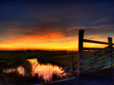 Nature 22 Photographic Print by Brian Stevenson