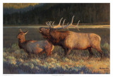 Evening Light Kunst von Nancy Glazier