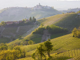 View to Serralunga D' Alba, Piedmont, Italy Photographie par Peter Adams