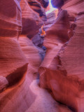 Tayo Photographie par Jim Crotty