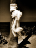 Kindu Photographic Print by Sharon Wish