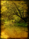 Father of Light Photographic Print by Cristina Carra Caso