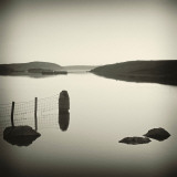 Bubblepad Photographic Print by David Baker