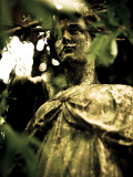 Female Statue Partly Obscured by Leaves in Cemetery Photographic Print by Clive Nolan