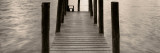 Trunti Photographic Print by David Baker