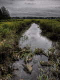Stream Lined Photographie par Traer Scott