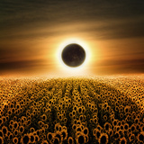 Radiance Photographic Print by Luis Beltran