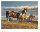 The Painted Desert Poster von Nancy Glazier