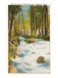 Ashland Creek, Chautauqua Park, Ashland, Oregon reproduction procédé giclée