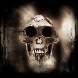 Prehistoric Skull Photographie par Clive Nolan