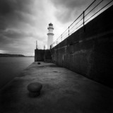 Seahorde Photographic Print by Craig Roberts