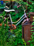 Blogcube Photographic Print by Jim Crotty