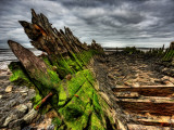 Nature 6 Photographie par Brian Stevenson
