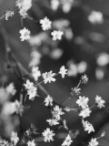 Innodrive Photographic Print by Jim Crotty