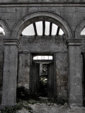 Gabvine Photographic Print by Tim Kahane