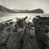 Jabberfire Photographic Print by David Baker