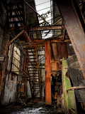 Handsome One Photographie par Cristina Carra Caso