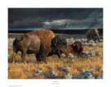 Restless Posters af Nancy Glazier Restless Posters af Nancy Glazier