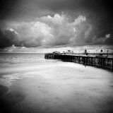 Hazelshark Photographic Print by Craig Roberts