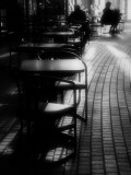 Dabpoint Photographic Print by Sharon Wish