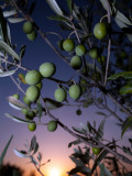 Views of Andalusia, Spain Photographic Print by Felipe Rodriguez
