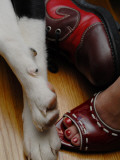 Footsie Photographic Print by Traer Scott