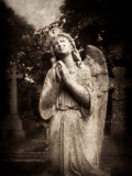 Statue of a Female Angel Praying in Cemetery Photographic Print by Clive Nolan