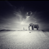 Walk with Me Photographic Print by Luis Beltran