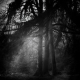 Taglinks Photographic Print by David Baker