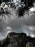 Zoomify Photographic Print by Tim Kahane
