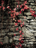 Red Stone Photographic Print by Clive Nolan