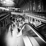 Archalizer Photographie par Craig Roberts