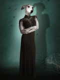 Tekzoom Photographic Print by Lynne Davies