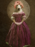 Mydeo Photographic Print by Lynne Davies