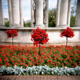 Whitecrop Photographic Print by Craig Roberts