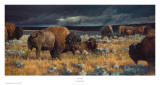 Restless Kunstdrucke von Nancy Glazier