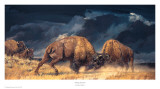 Rolling Thunder Kunstdrucke von Nancy Glazier