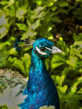 Edgelist Photographie par Tim Kahane