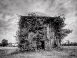 A Vines Place Photographie par Traer Scott