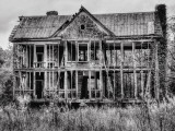 The Loss Photographic Print by Traer Scott
