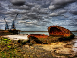 Nature 20 Photographic Print by Brian Stevenson